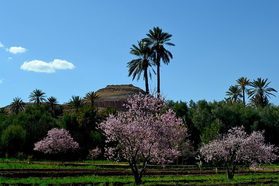 le-gole-di-todra-in-marocco